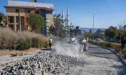 Bornova Belediyesi'nden yıldırım müdahale