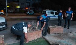 Bornova'da gece yarısı zabıta operasyonu