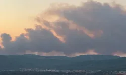 Muğla’daki yangına müdahale sürüyor