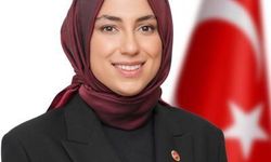 Amine Cansu Çelik CHP’den istifa etti