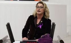 Asu Kaya’dan iktidara karma eğitim ve nafaka tepkisi