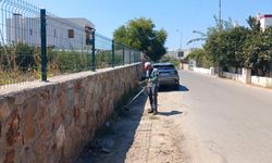 Bodrum'da ot temizliği çalışmaları sürüyor