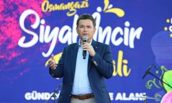 Osmangazi’nin siyah inciri festivalle buluştu