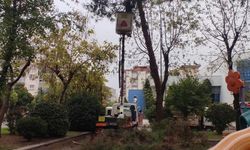 Efeler yağışlarda tehlikelerin önüne geçiyor