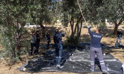 Bornova'nın parklarından dayanışma fışkırdı