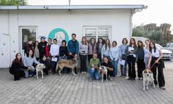 Can dostları yeni sahipleriyle buluştu