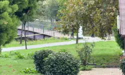 Sel felaketinde bir cansız beden daha bulundu!
