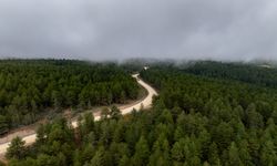 Demirci Söğütçük’te 11 kilometrelik yol için çalışma başladı