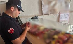Bodrum'da Okul Kantinlerine Zabıta Denetimi