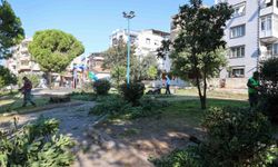 Buca’nın yeşil alanlarına sonbahar bakımı