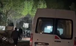 Gece vakti operasyon… Yaklaşık 200 köpek toplatıldı!