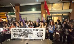 ‘Kadınları koruma yükümlüsü olan kamu kurumlarının da denetlenmesi gerekiyor’