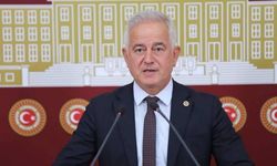 Güneşhan’dan Bakan ve TFF Başkanı’na istifa çağrısı