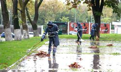 Osmangazi Belediyesi’nden sonbahar temizliği