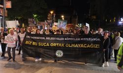 “İktidarın ortağı olup bizi tek bıraktınız”