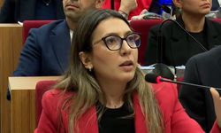 Yeni Partili Özkan’dan AKP'li Tugay’a zehir zemberek sözler!
