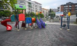 Bornova'da ortak akıl dönemi