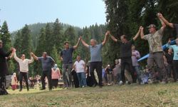 Yayla şenliklerinde Kafkas arı ırkı ve ürünleri tanıtıldı