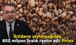 İktidarın zeytinyağında 800 milyon liralık rantın adı: Pirina