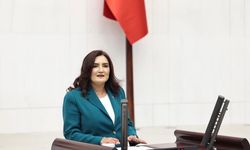 CHP İzmir Milletvekili Sevda Erdan Kılıç: Komedi filmine bile sansür