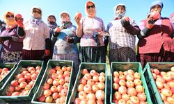 Efes Selçuk festivale doymuyor