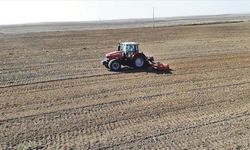 "Türkiye'nin çiftçisi gittikçe yoksullaşıyor"
