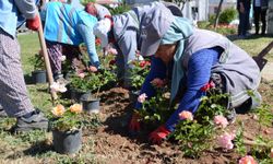 Pamukkale’de bahar bakımı yapılıyor