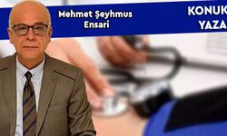 Mehmet Şeyhmus Ensari yazdı...