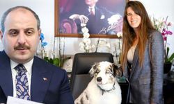 Varank ile Denizli atışması... "Köpeğim sizden daha mantıklı"