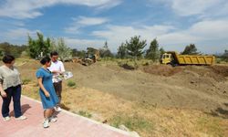 Pamucak daha fazla ağaçlanacak