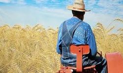Göçük altında kalan çiftçi hayatını kaybetti