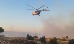 Manisa'da yangın 90 saattir sürüyor