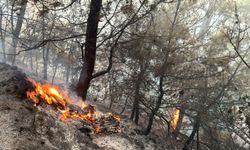 Muğla’yı orman yangınları esir aldı