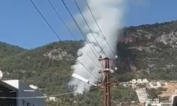 Alanya’da orman yangını