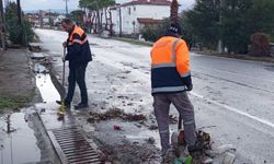 Yağmurun ardından dip bucak temizlik...