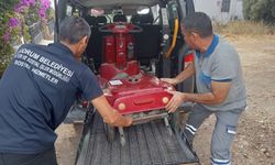 Belediyeden akülü sandalye bakım, onarım desteği
