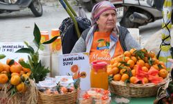 Bodrum Mandalin Festivaline yoğun ilgi