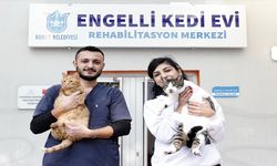 Kedi Evi'nden sahiplenme çağrısı