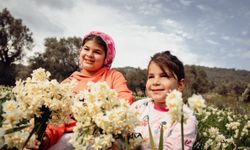 Bayındır Nergis ve Kuru Çiçek Festivali 4. yılında