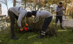 Efeler Belediyesinden Gölcük mezarlığında kapsamlı çalışma