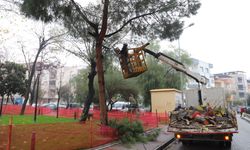 Turgutlu Belediyesi ekiplerinden yoğun tempo