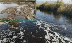 Büyük Menderes Nehri simsiyah: Balık ölümleri başladı