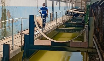 EFELER BELEDİYESİ SİVRİSİNEKLERE KARŞI İLAÇLAMA ÇALIŞMALARINI SÜRDÜRÜYOR