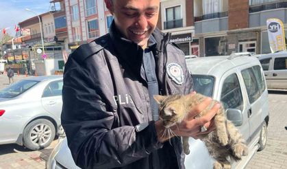 Aracın motoruna giren yavru kediyi polis kurtardı