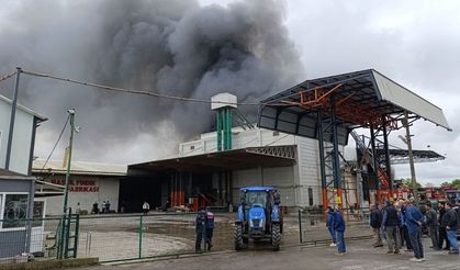 Sakarya’da fabrika yangını