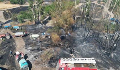 Eber Gölü yanındaki tarım arazilerinde yangın çıktı