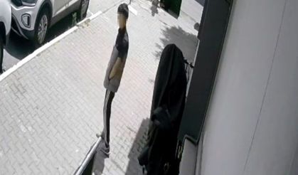 Sultangazi’de bisikleti böyle çaldı, hırsız rahat tavırlarıyla "pes" dedirtti
