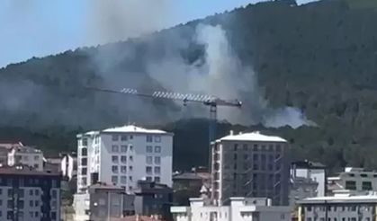 İstanbul'da Aydos Ormanı'nda yangın!