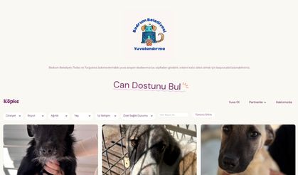 Bodrum Belediyesi yuvalandırma platformu hayata geçti