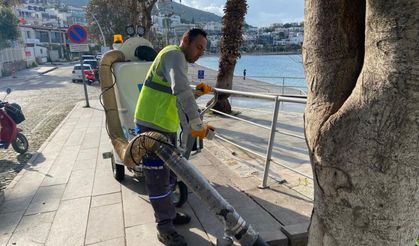 Bodrum Belediyesi Plajları Yaza Hazırlıyor